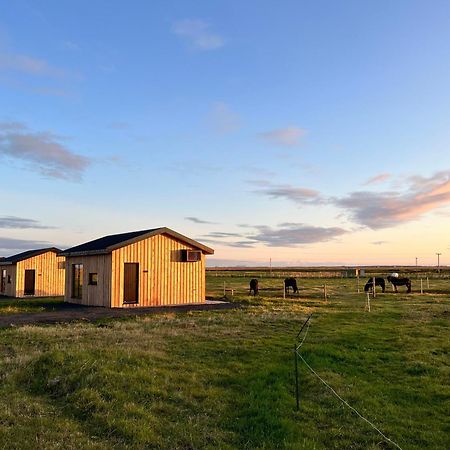 Sleeping With The Horses Lägenhet Hvolsvöllur Exteriör bild