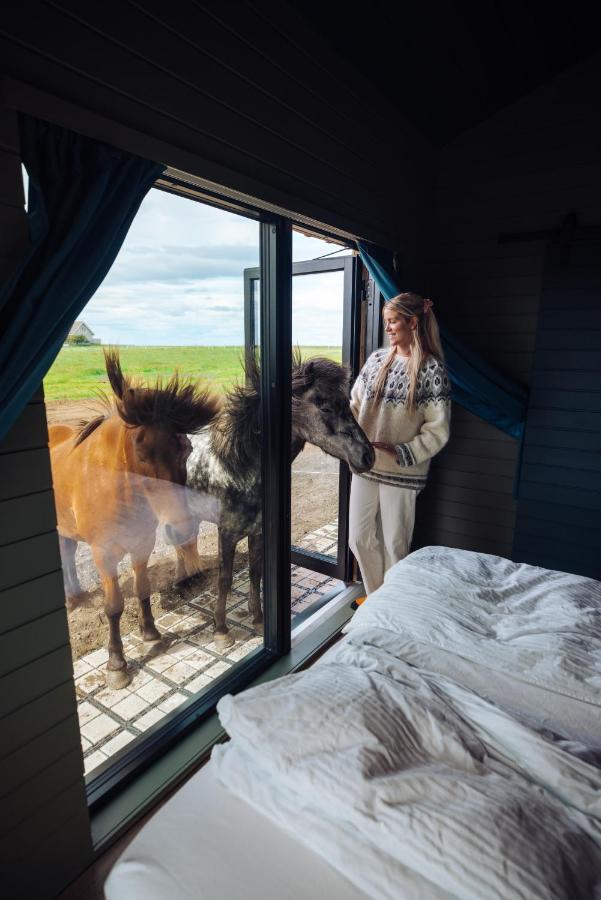 Sleeping With The Horses Lägenhet Hvolsvöllur Exteriör bild