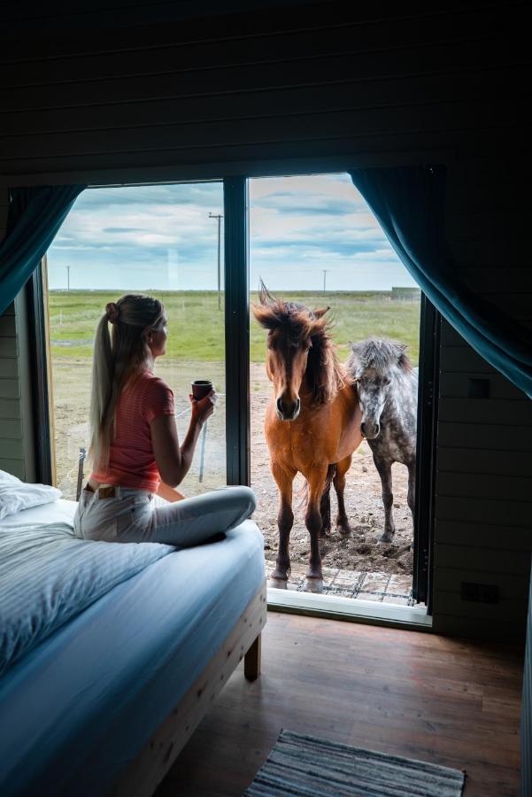 Sleeping With The Horses Lägenhet Hvolsvöllur Exteriör bild