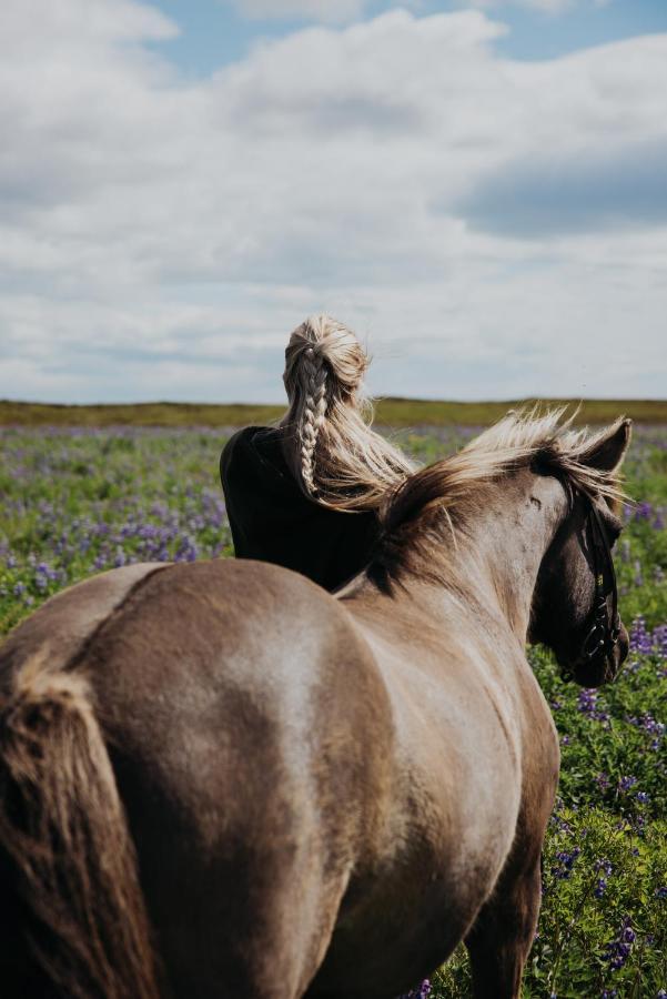 Sleeping With The Horses Lägenhet Hvolsvöllur Exteriör bild