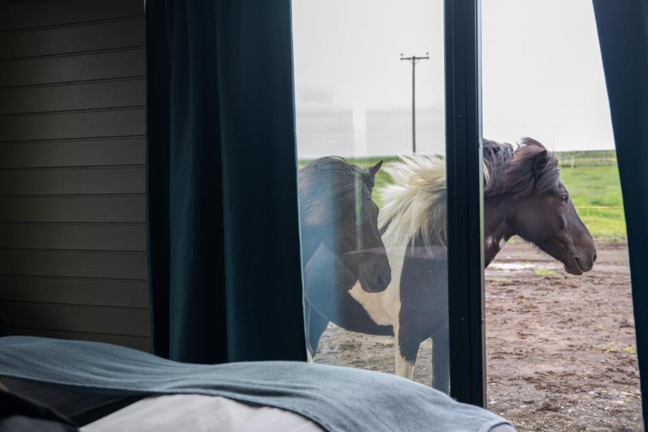 Sleeping With The Horses Lägenhet Hvolsvöllur Exteriör bild