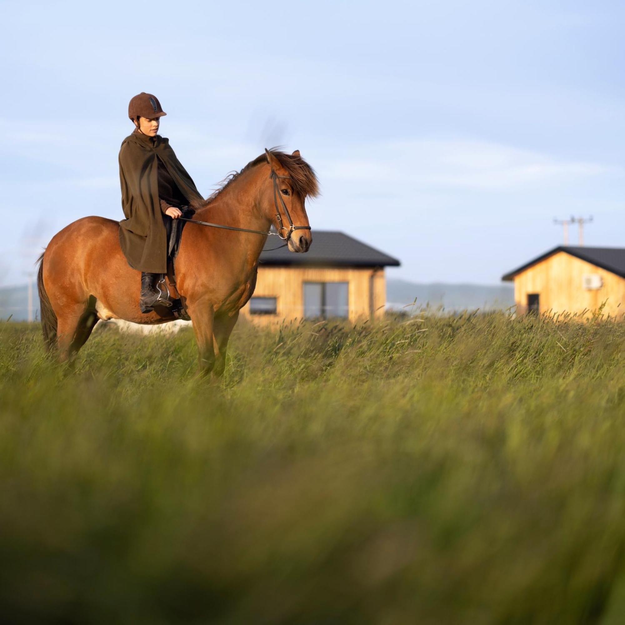 Sleeping With The Horses Lägenhet Hvolsvöllur Exteriör bild