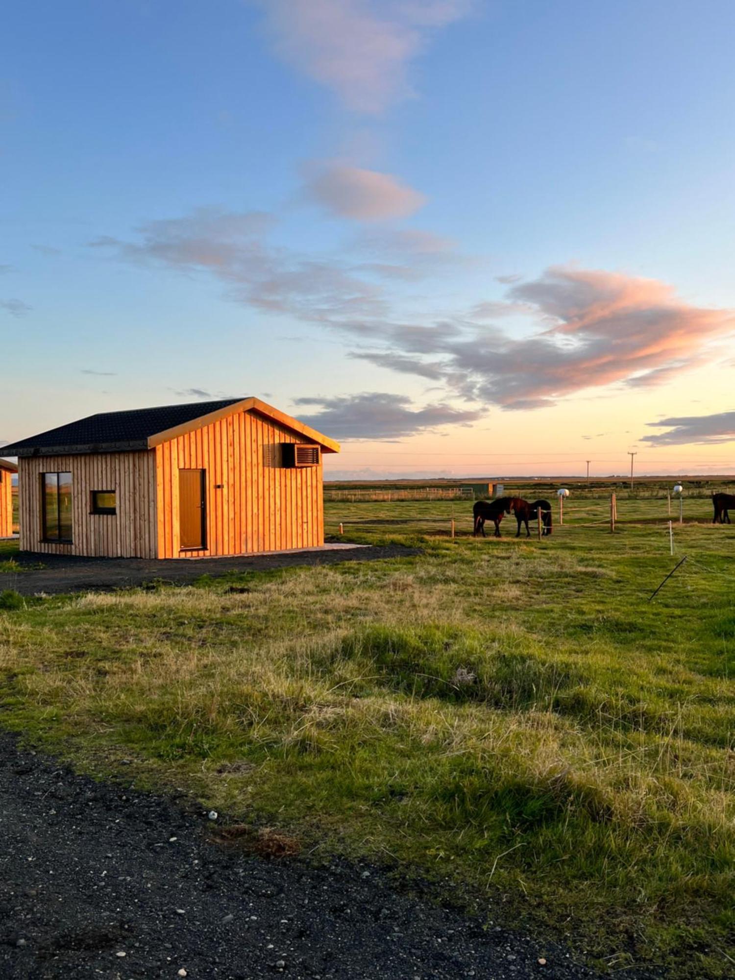 Sleeping With The Horses Lägenhet Hvolsvöllur Exteriör bild